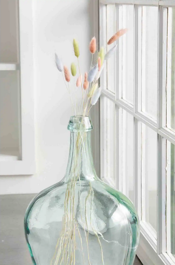 Mudpie Dried Preserved Bunny Tail Grass - Necessities Boutique