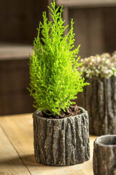 Vagabond Vintage Round Shaped Concrete Pot with Bark Like Detailing