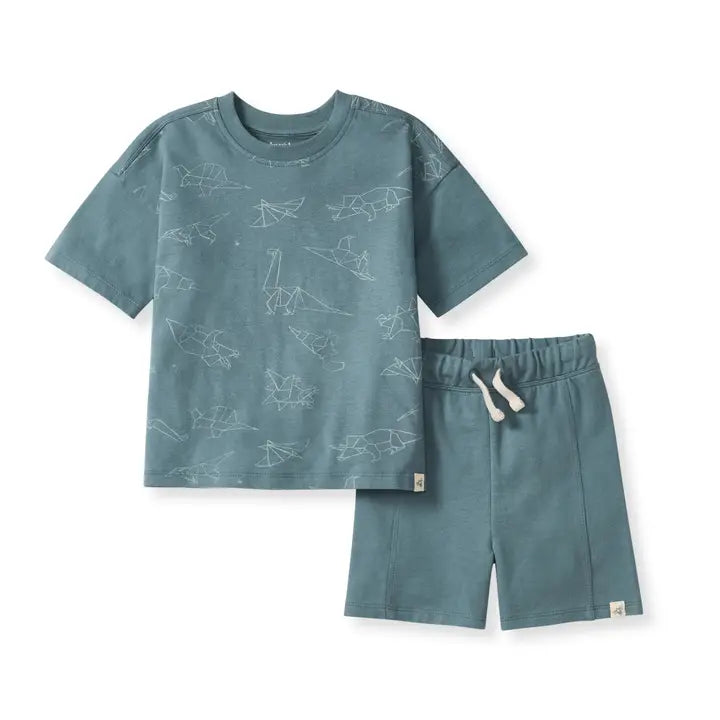 Burts Bees origami dinos tee short set - Necessities Boutique