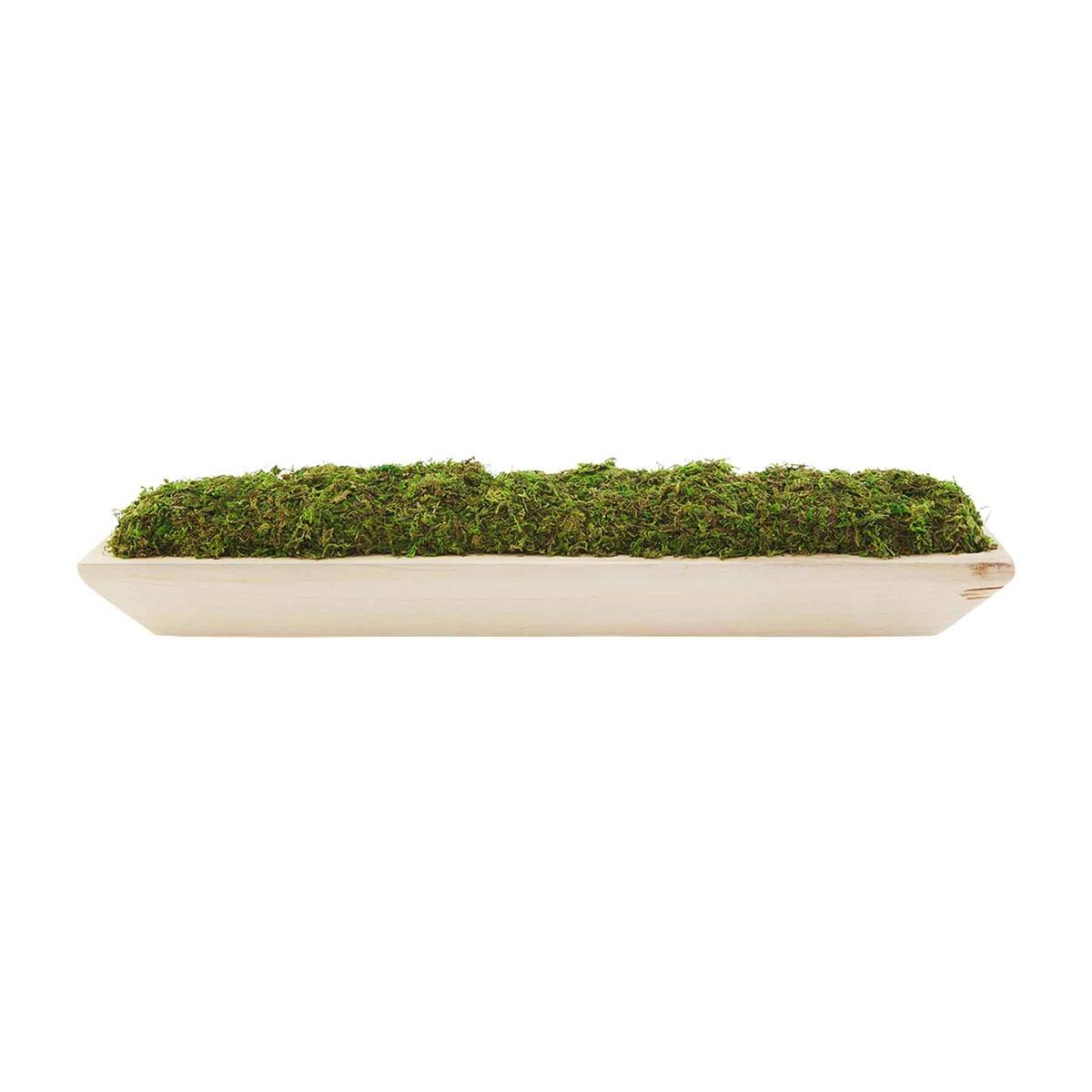 Mudpie Preserved Moss Tray - Necessities Boutique