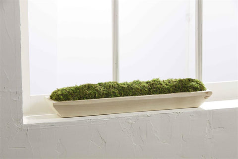 Mudpie Preserved Moss Tray - Necessities Boutique