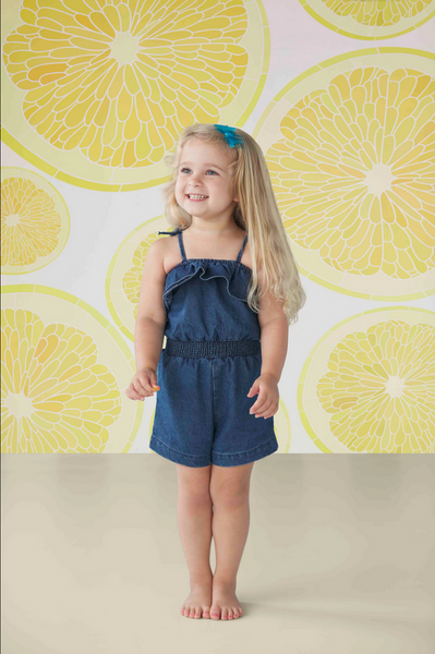 ﻿Mudpie Toddler Ruffle Denim Romper - Necessities Boutique