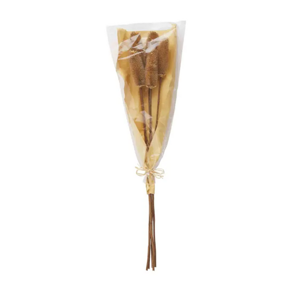 Mudpie Preserved Thistle Stems - Necessities Boutique