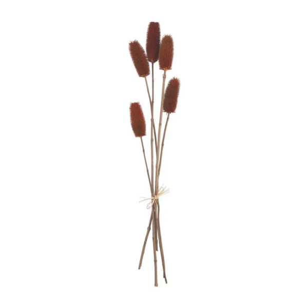 Mudpie Preserved Thistle Stems - Necessities Boutique