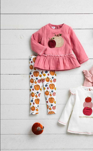 Mudpie Velvet Pumpkin Applique Tunic & Legging Set - Necessities Boutique