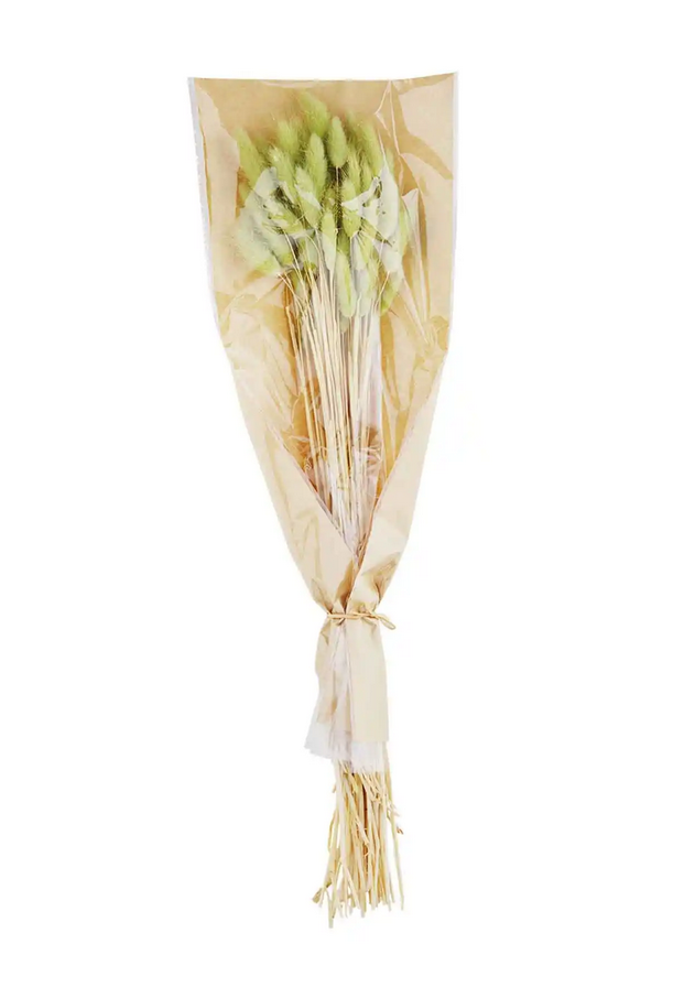 Mudpie Dried Preserved Bunny Tail Grass - Necessities Boutique