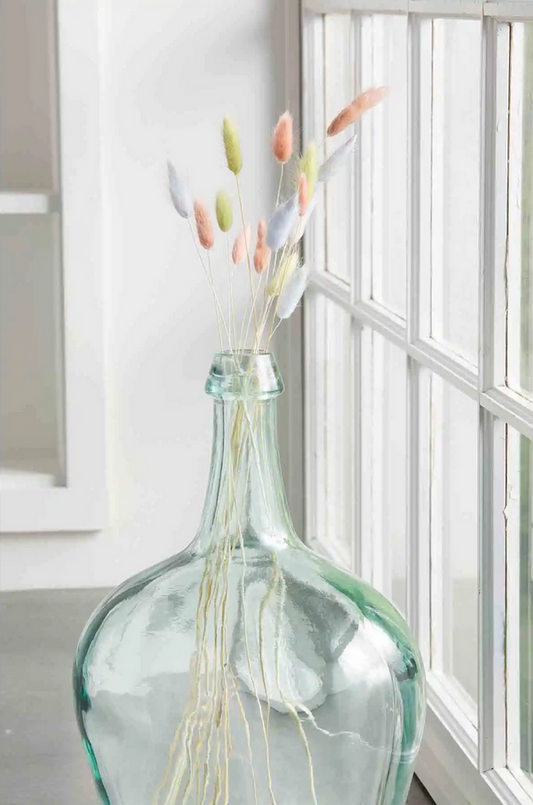 Mudpie Dried Preserved Bunny Tail Grass - Necessities Boutique