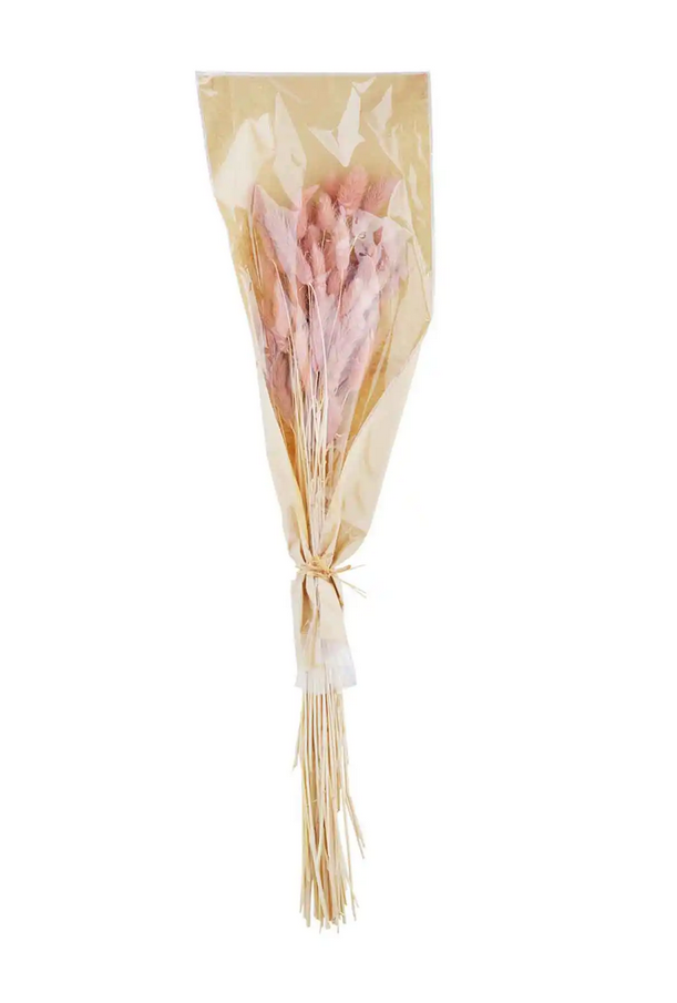 Mudpie Dried Preserved Bunny Tail Grass - Necessities Boutique